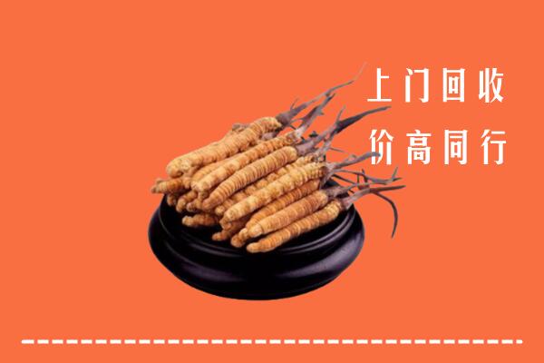 高价求购：田阳区回收散虫草